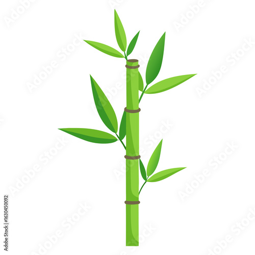 bamboo isolated on white