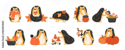 Cute autumn fall hedgehog illustration set in flat style with seasonal forest elements perfect for children’s designs, greeting cards, posters, stickers and thanksgiving themed decorations