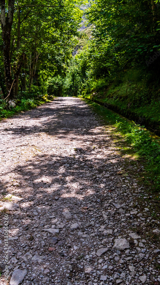 Fototapeta premium Paisaje en Bulnes, Picos de Europa.