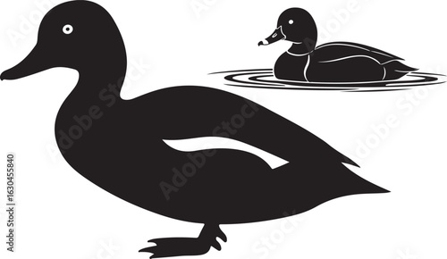 Redhead Duck – Vector Silhouette
