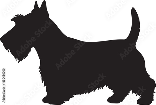 Scottish Terrier Vector Silhouette