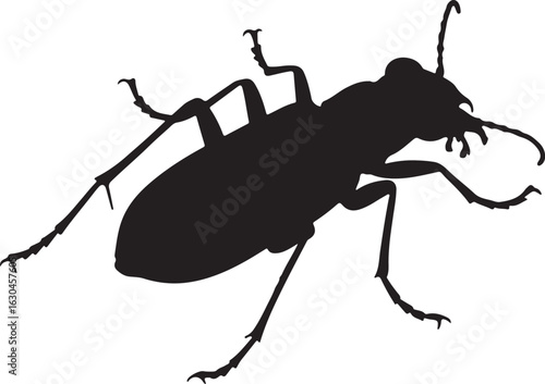 Tiger Beetle Vector Silhouette