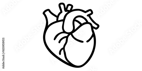 Anatomical heart illustration for medical health concept and cardiology design in black and white simple line art medical icons on transparent background