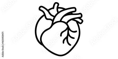 Heart health illustration vector drawing of human heart anatomy for medical education and healthcare design medical icons on transparent background
