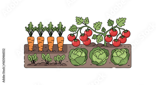 Vegetable patch illustration featuring carrots, lettuce, tomatoes in vibrant colors that captures the essence of fresh produce from a bountiful