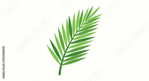 Tropical Greenery: A Simplified Palm Frond Illustration on a White Background