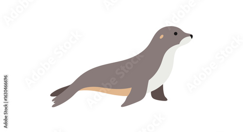Charming depiction of a playful sea lion with a sleek gray coat, ideal for children's illustrations, educational resources and delightful cartoon