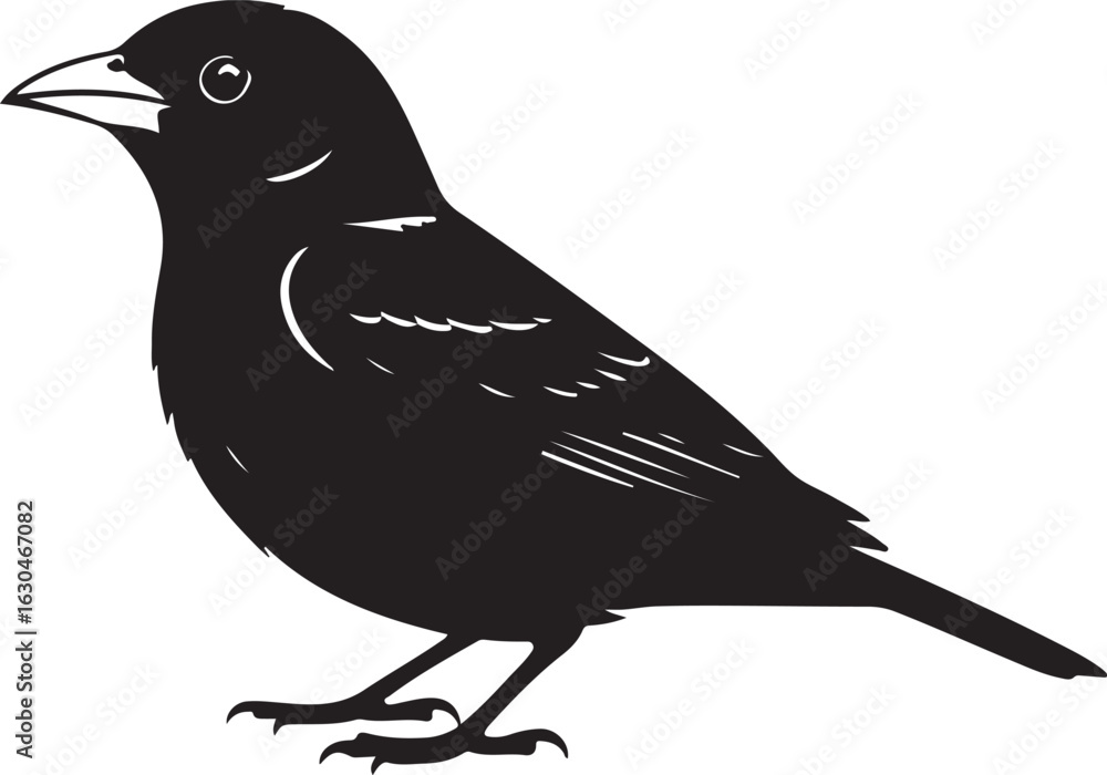 Fototapeta premium Yellow Tanager Vector Silhouette