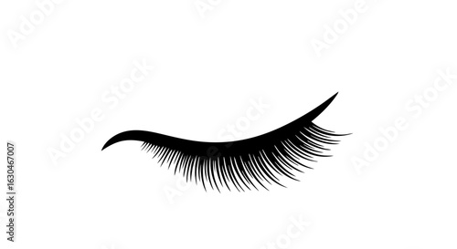 Elegant eyelash extension design for beauty enhancement showcasing glamorous eye detail and refined aesthetic appeal for cosmetic purposes