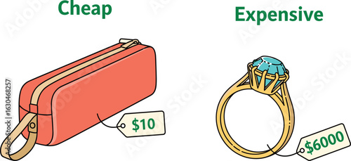 Cheap pouch versus expensive ring, $10 vs $6000 comparison, budget and luxury item price gap, consumer spending analysis, product cost evaluation