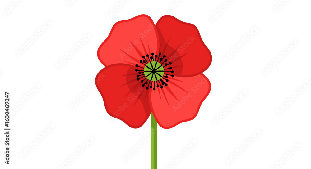 Obraz premium Vibrant Red Poppy Illustration with Simple Design Against a Clear White Backdrop, Floral Detail and Botanical Simplicity in Design Elements