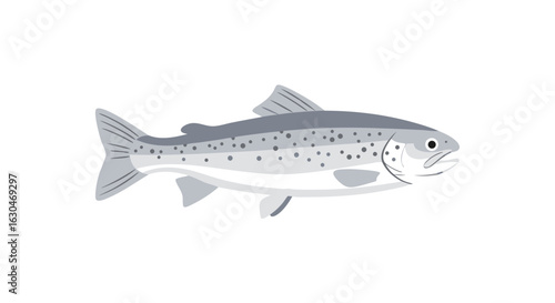 Illustration of a graceful atlantic salmon with detailed fins and speckled body artfully presented on a clean white backdrop