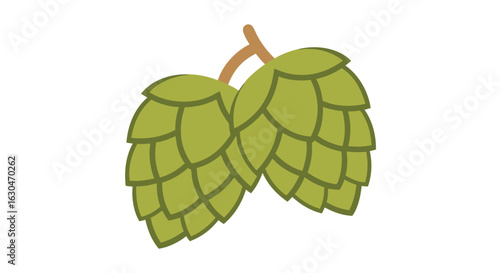 Stylized Illustration of Two Green Hops Cones Isolated on White Background