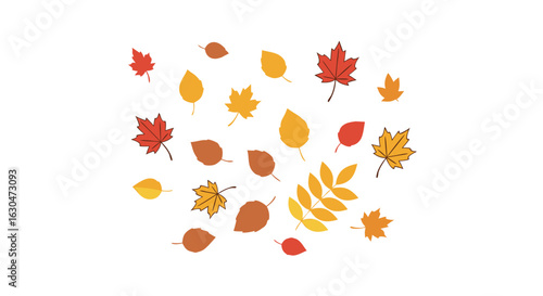 Simple autumn leaves illustration featuring different species and colorful arrangements depicting seasonal change showcasing minimalistic design and