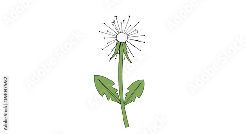 Whimsical dandelion illustration capturing the fleeting beauty and lightness of nature in a minimalist style against a clean background