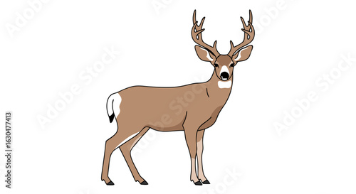 Elegant whitetail buck illustration showcasing wildlife beauty in minimalistic style and design elements, creating a visually appealing