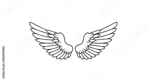 Elegant outstretched avian wings, sketched with intricate detail against a serene, pure white background, creating a minimalist yet ethereal
