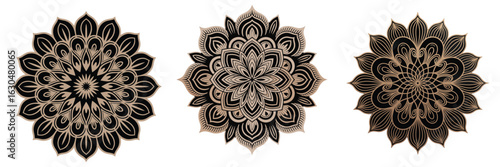 Detailed Floral Mandala Designs Ornate Decorative Art
