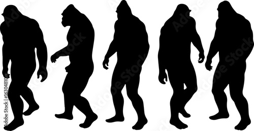 Bigfoot, Sasquatch , forest legend, humanoid,  walking vector bundle