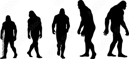Bigfoot, Sasquatch , forest legend, humanoid,  walking vector bundle