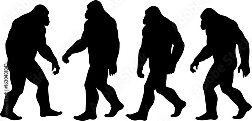 Bigfoot, Sasquatch , forest legend, humanoid,  walking vector bundle