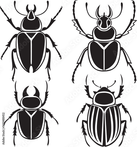 Diverse Beetle Silhouettes Graphic Collection