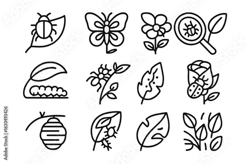 Black and white nature icons: insects, leaves, flowers, and magnifying glass