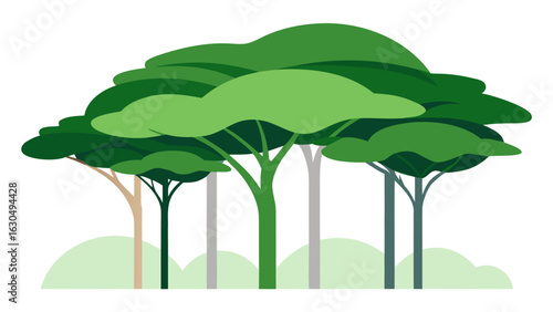 Green Rainforest Canopy Layers Vector Art Illustration