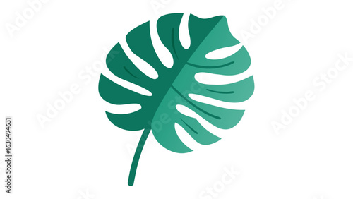 Teal Green Monstera Leaf Vector Illustration monstera deliciosa
