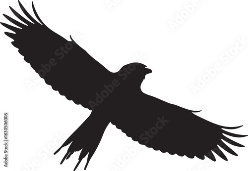 
Lilac-crowned Amazon Solid Vector Silhouette