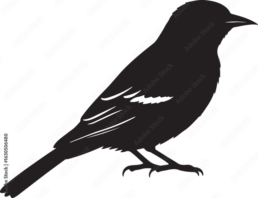 Obraz premium Oriole Solid Vector Silhouette