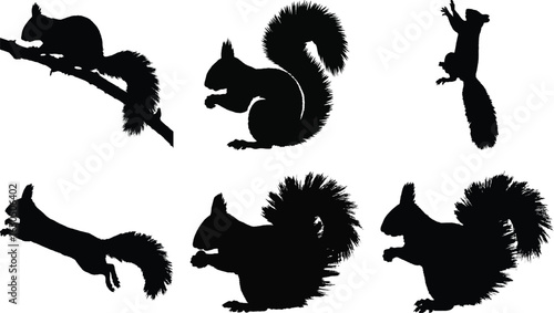 Squirrel silhouette vector set with different squirrel poses, including sitting, jumping, and climbing, perfect for wildlife and animal design projects.