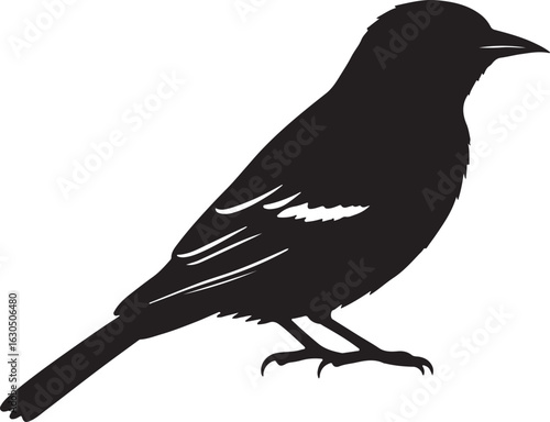 Oriole Solid Vector Silhouette