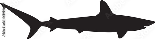 Cuadro en lienzo Pelagic Thresher Shark Solid Vector Silhouette