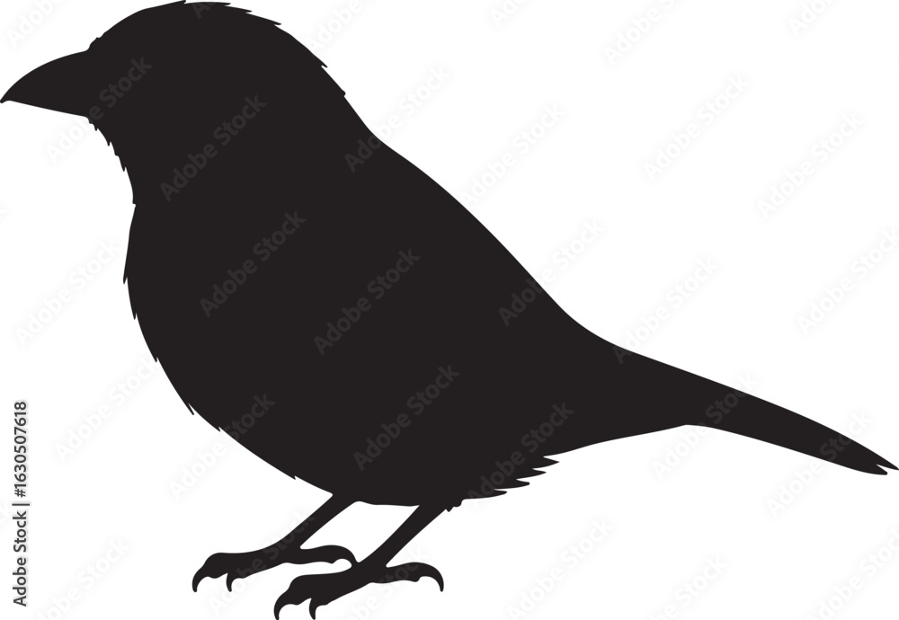 Obraz premium Yellow Tanager Solid Vector Silhouette