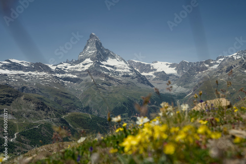 Εκτύπωση καμβά Matterhorn mountain in the summer with Vibrant Alpine Flowers in Foreground, captured from Blauherd above Zermatt at the End of the Sunnegga Bahn