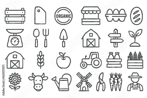 Fresh farm illustrations depicting organic produce, tools, and activities in a rural setting