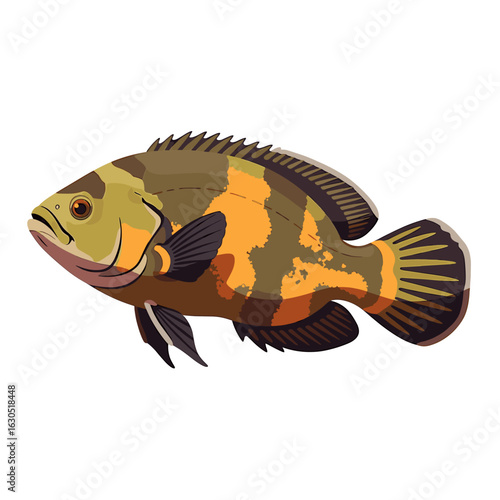A vibrant illustration of a speckled Oscar fish, showcasing its detailed scales and fins against a white background.