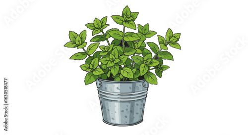Vector of a mint plant in a small tin bucket.