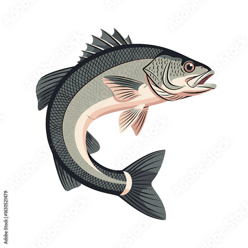 Illustration of a fish with detailed scales and fins, depicted in a stylized, artistic manner.