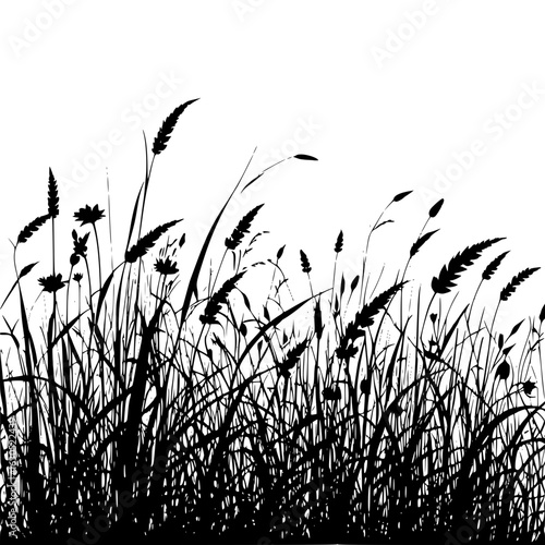 Silhouette of tall grass and wildflowers swaying on a meadow