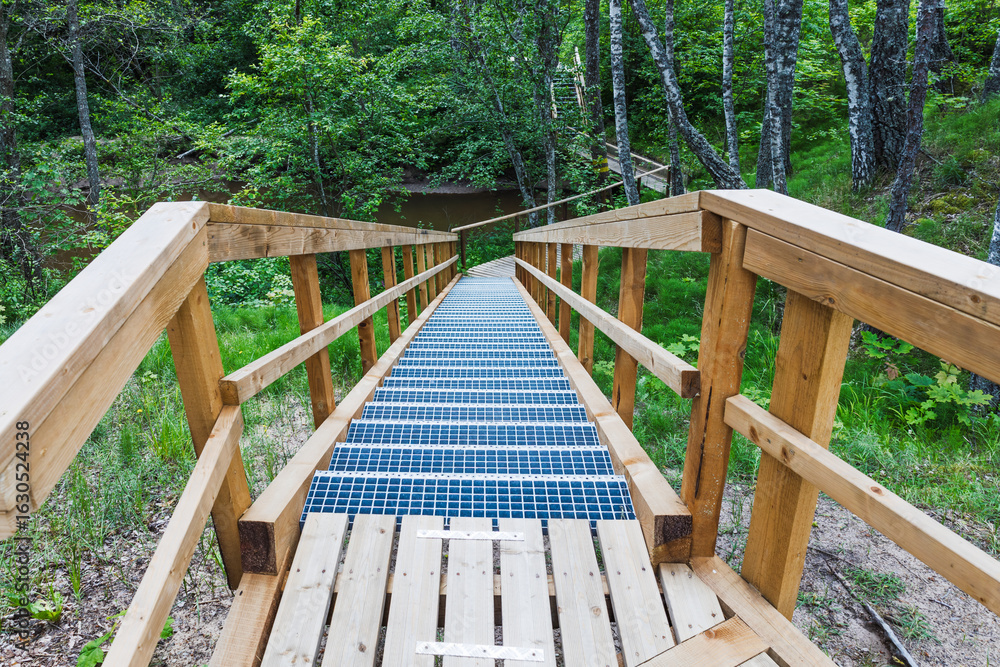 Wooden forest staircase descending to lush green nature trail, perspective view Wooden forest staircase descending to lush green nature trail, perspective view