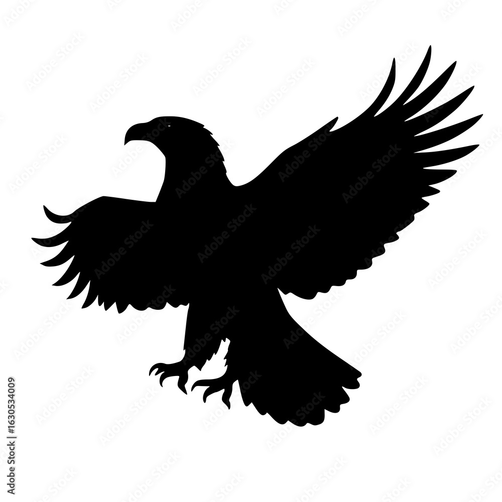 Obraz premium Eagle silhouette in flight, vector