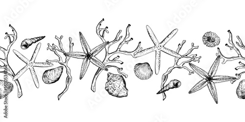 Black and white seamless marine border. Vector illustration features detailed starfish, seashells and coral branches arranged in a seamless coastal theme. Ideal for beach themed designs, invitations.