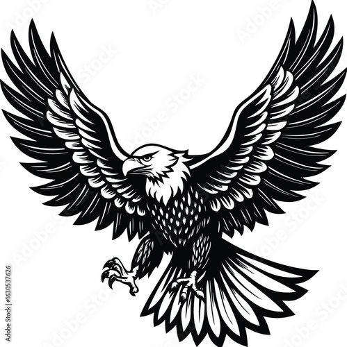 Majestic eagle with outstretched wings in black and white bird flight