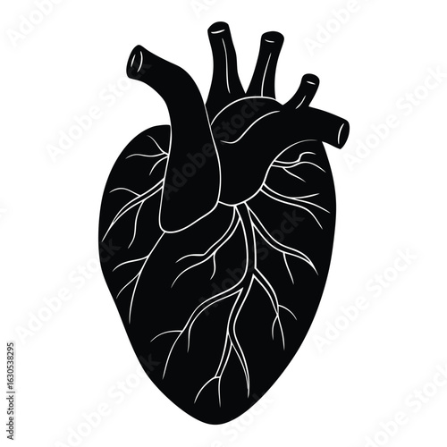 Black human heart anatomical illustration anatomy medical