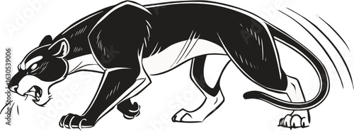 Black panther snarling with sharp claws and flowing tail white roaring