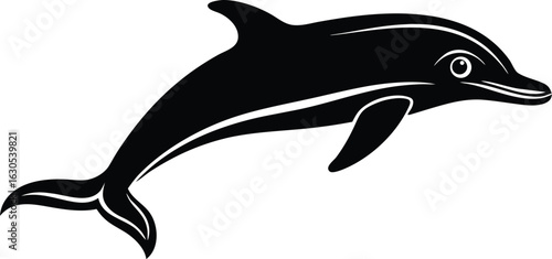 Sleek black dolphin leaping with white accents marine mammal