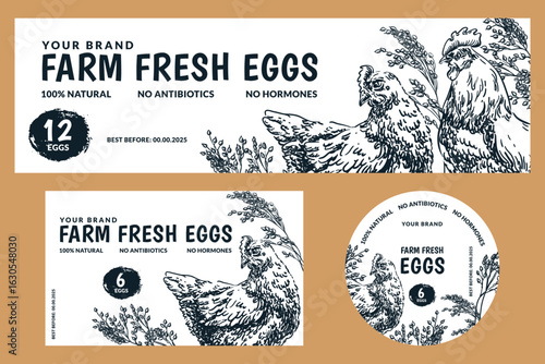 Chicken eggs vector labels. Sketch illustration of hens, rooster and grain. Food packaging design, farm rustic branding