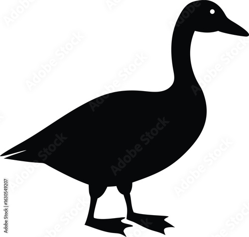 Canadian goose silhouette standing still